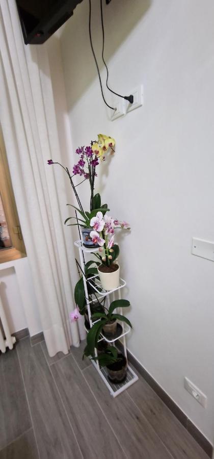 Bed and Breakfast Orchidea Boloňa Exteriér fotografie